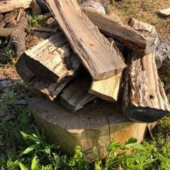 希少広葉樹　樹齢300年楠の薪　5kg 