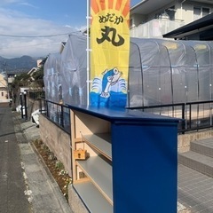 15日　日曜日　めだか無人販売