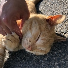 よければ今日(5/17)敦賀で飲みませんか？ - 友達