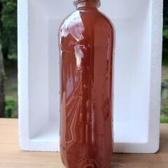 濃縮PSB 600ml 
