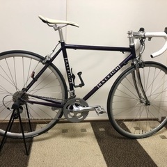RALEIGH Carlton-N