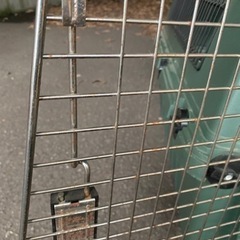 無料　ペットキャリー（バリケンネル300）とペット用バリカンの画像