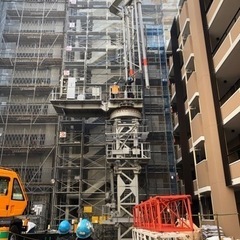 鳶職人、見習いさん大募集‼︎の画像