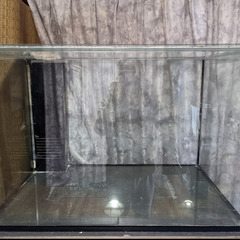 中古　オーバーフローガラス水槽