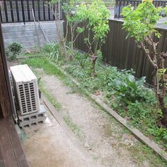 🏡連棟貸家の紹介です！！昭和感あふれてます！！ - 不動産