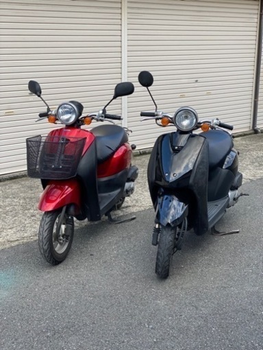 まとめて2台！トゥデイ！