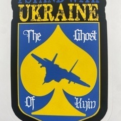 キエフの亡霊　Ghost of Kyiv Stickers ステ...