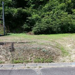 小川の土地、当時700万円で購入を600万円値引きの100万円で...