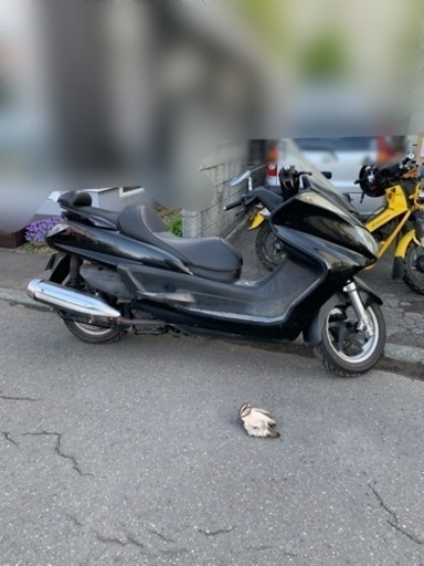 グランドマジェスティ　250