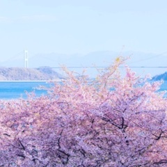カメラ好きの仲間 - 友達