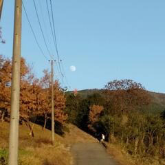 山登り,ハイキングしませんか。アドバイスや仲間募集です。 - 友達