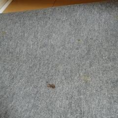 ホットカーペットの画像