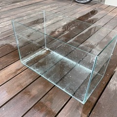 60センチ水槽