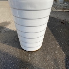 白　陶器　大鉢　鉢穴ありの画像