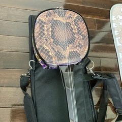 三線　ジャンク品の画像