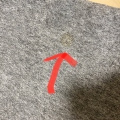 【お譲り先決定】ホットカーペットの画像