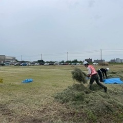 急募‼️🌲公共工事🌲草刈り作業員大募集中‼️すぐにでも働けます。