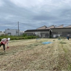 急募‼️🌲公共工事🌲草刈り作業員大募集中‼️すぐにでも働けます。の画像