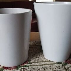 胡蝶蘭を頂いた時の鉢です。