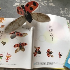 ♪ぴっかり♬　仕掛けが多くて楽しい絵本　12冊セット　七田式　家庭保育園　等の右脳教育の幼稚園で使用。の画像