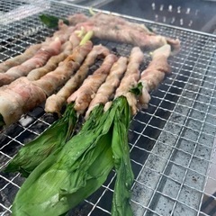 第５段　山菜　5/15収穫　3L 肉厚濃厚　行者にんにく　アイヌネギ　100g（おまけ有）の画像