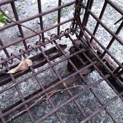 メッシュパレットパレティーナの画像