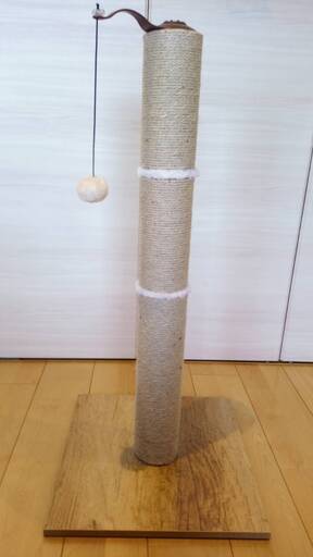 猫　爪研ぎ