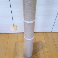 猫　爪研ぎの画像