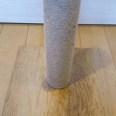猫　爪研ぎの画像
