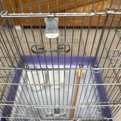 鳥かご2セットの画像
