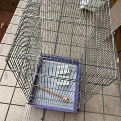 鳥かご2セットの画像