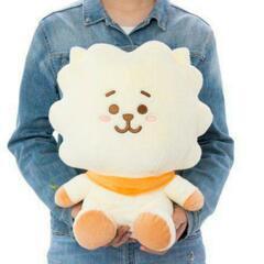 BT21公式  フルーツぬいぐるみ RJ/Lサイズの画像