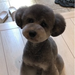 トリミングします(^^)♪