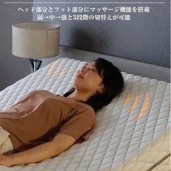 【格安】電動リクライニングベッド ドイツ製 7ゾーンパダーリラックス2 G-FREE ベッドの画像