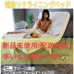 【格安】電動リクライニングベッド ドイツ製 7ゾーンパダーリラッ...