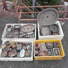 盆栽用の小さい植木鉢 引取先決まりました。の画像