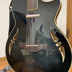 Crafter クラフター SAシリーズ エレアコギターの画像
