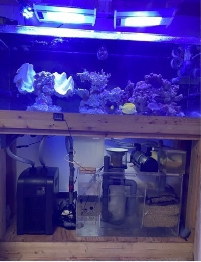 【引取限定】オーバーフローアクリル水槽セット135x45x50 厚10ミリ 美品