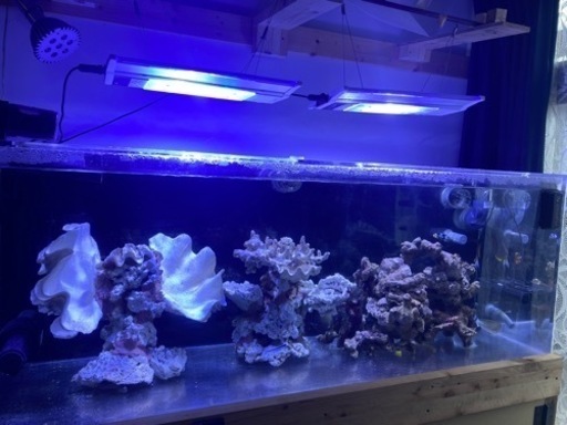 【引取限定】オーバーフローアクリル水槽セット135x45x50 厚10ミリ 美品