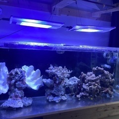 【引取限定】オーバーフローアクリル水槽セット135x45x50 ...