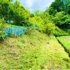 草刈り承ります! 名古屋市北部発‼︎ 草刈りボランティア‼︎ - 名古屋市
