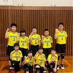 清水バレーボールジュニア団員募集‼️ − 静岡県