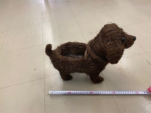 植物とか入れる わんちゃん