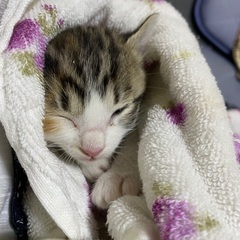 お願いします