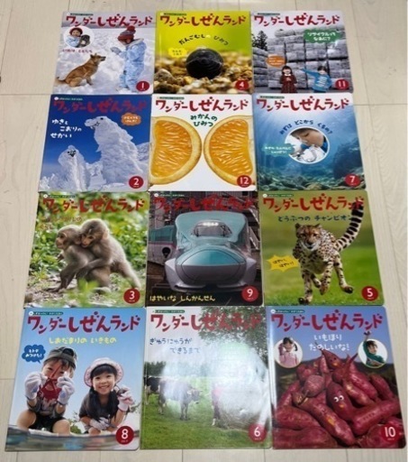 絵本　ワンダーしぜんランド　12冊　1200円