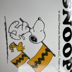 スヌーピーお弁当の画像