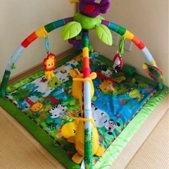 フィッシャープライス レインフォレストデラックスジムの画像