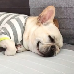 ゆるくお待ちしてます。福井でこんなに面白い。麻雀。