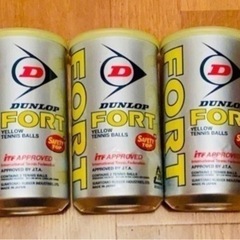 送品未開封　DUNLOPテニスボール FORT ダンロップ  2球入×6缶の画像