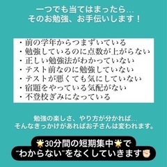 30分500円数学克服★勉強が苦手な子大歓迎★女性講師★5教科ok【新規募集スタート】の画像